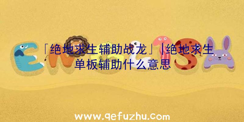 「绝地求生辅助战龙」|绝地求生单板辅助什么意思